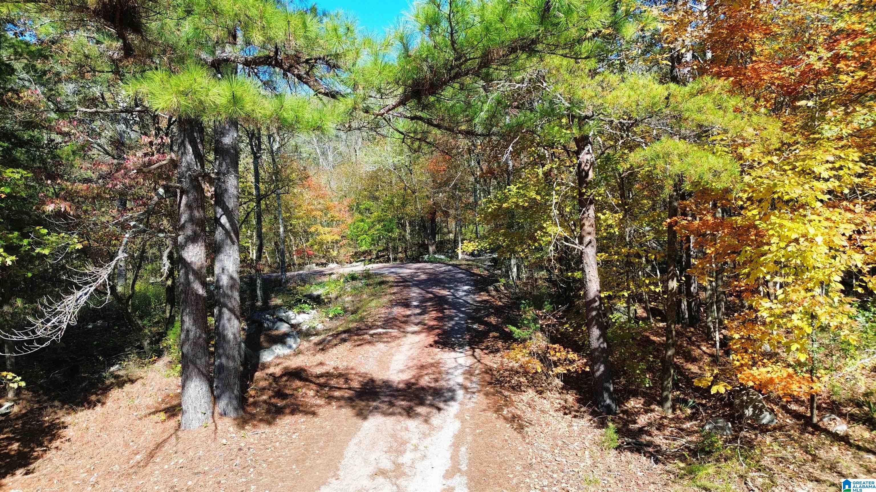 0 Mill Creek Road, Unit 20 Warrior, AL 35180 - Photo 11 of 17