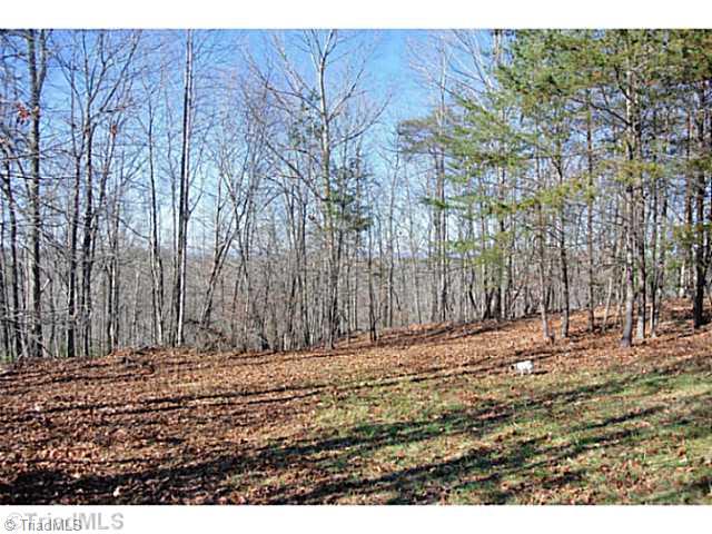 7-acres 7-acres Paradise Ridge Road, Unit 17 Westfield, NC 27053 - Photo 3 of 16 Land. WEST SIDE WITH PILOT MOUNTAIN VIEW
