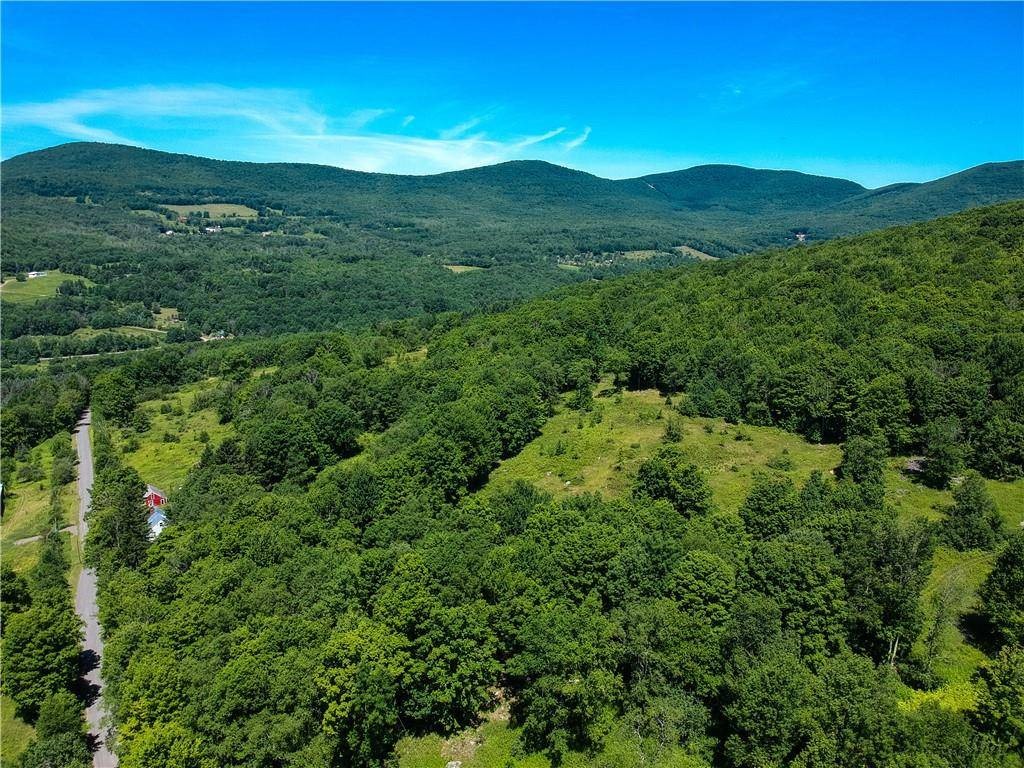 263 Schuman Road Roxbury, NY 12474 - Photo 8 of 13
