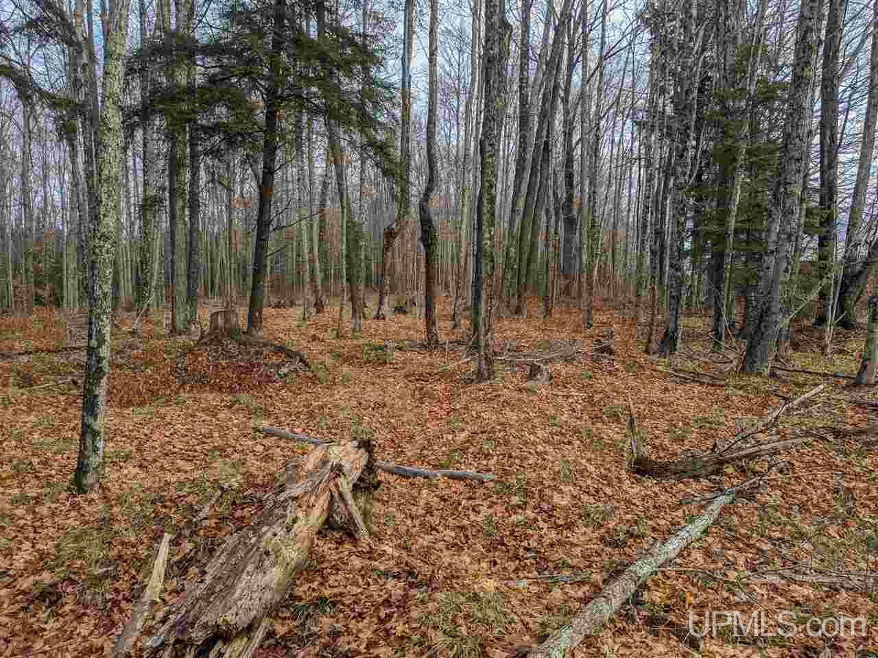 11851 Co Road Cornell, MI 49818 - Photo 44 of 49