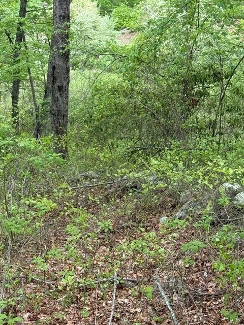 12 Fallon Trail Westerly, RI 02891 - Photo 4 of 6