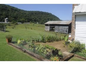 102 Bill Allen Road Elizabethton, TN 37643 - Photo 4 of 23 views gardens peaceful