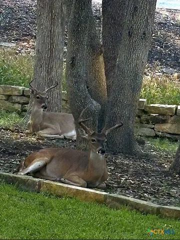 a view of outdoor space yard and porch