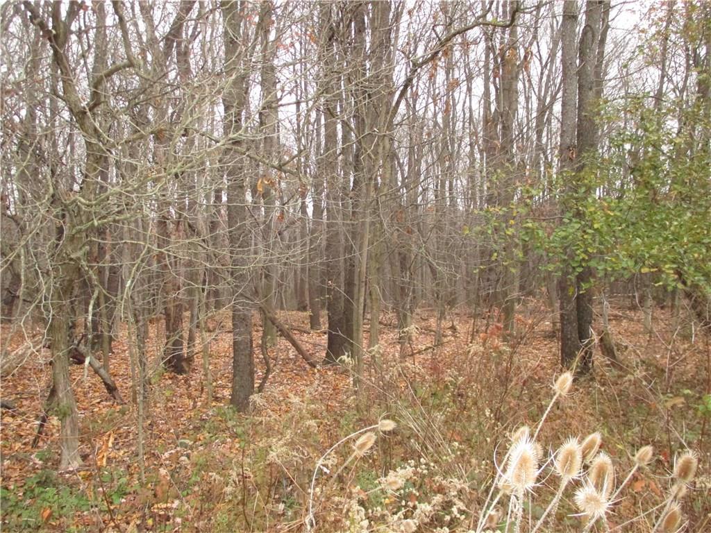 0 Pine Grove Road Beaver, PA 15009 - Photo 4 of 7