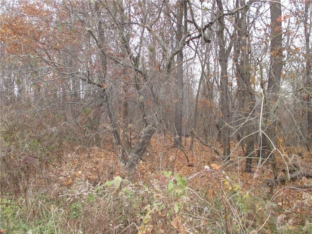 0 Pine Grove Road Beaver, PA 15009 - Photo 5 of 7