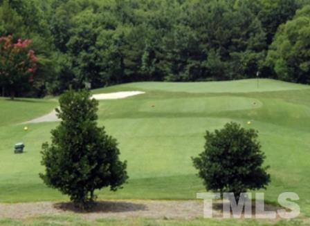 2028 Muirfield Village Way Raleigh, NC 27604 - Photo 15 of 20 Gallery Image 15