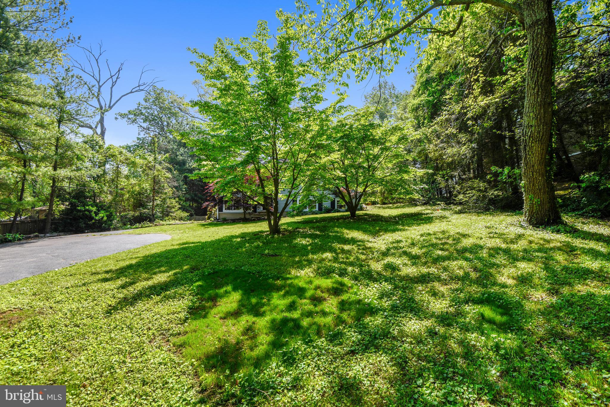 981 Shore Acres Road Arnold, MD 21012 - Photo 33 of 45 Yard