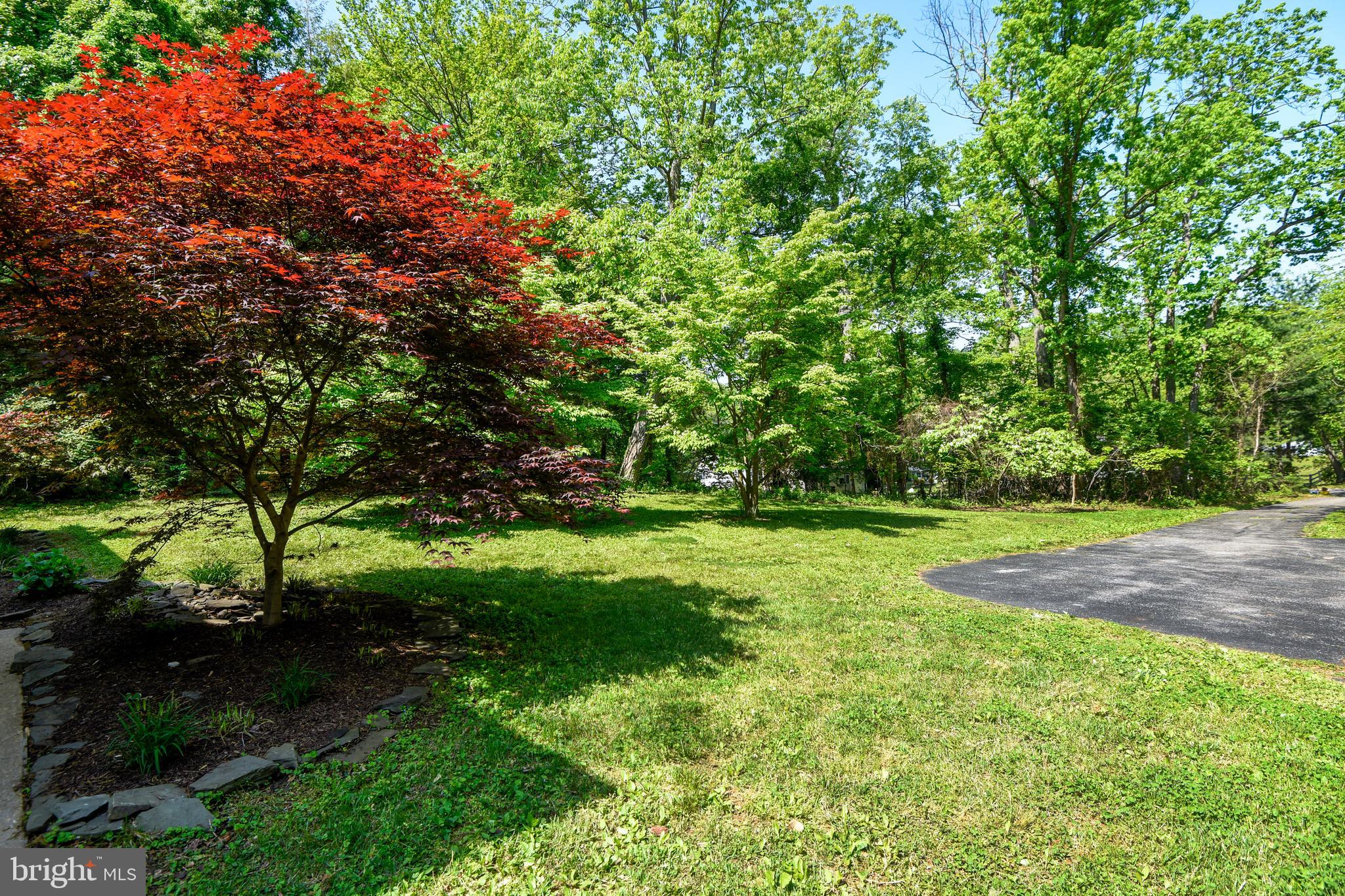 981 Shore Acres Road Arnold, MD 21012 - Photo 34 of 45 Yard