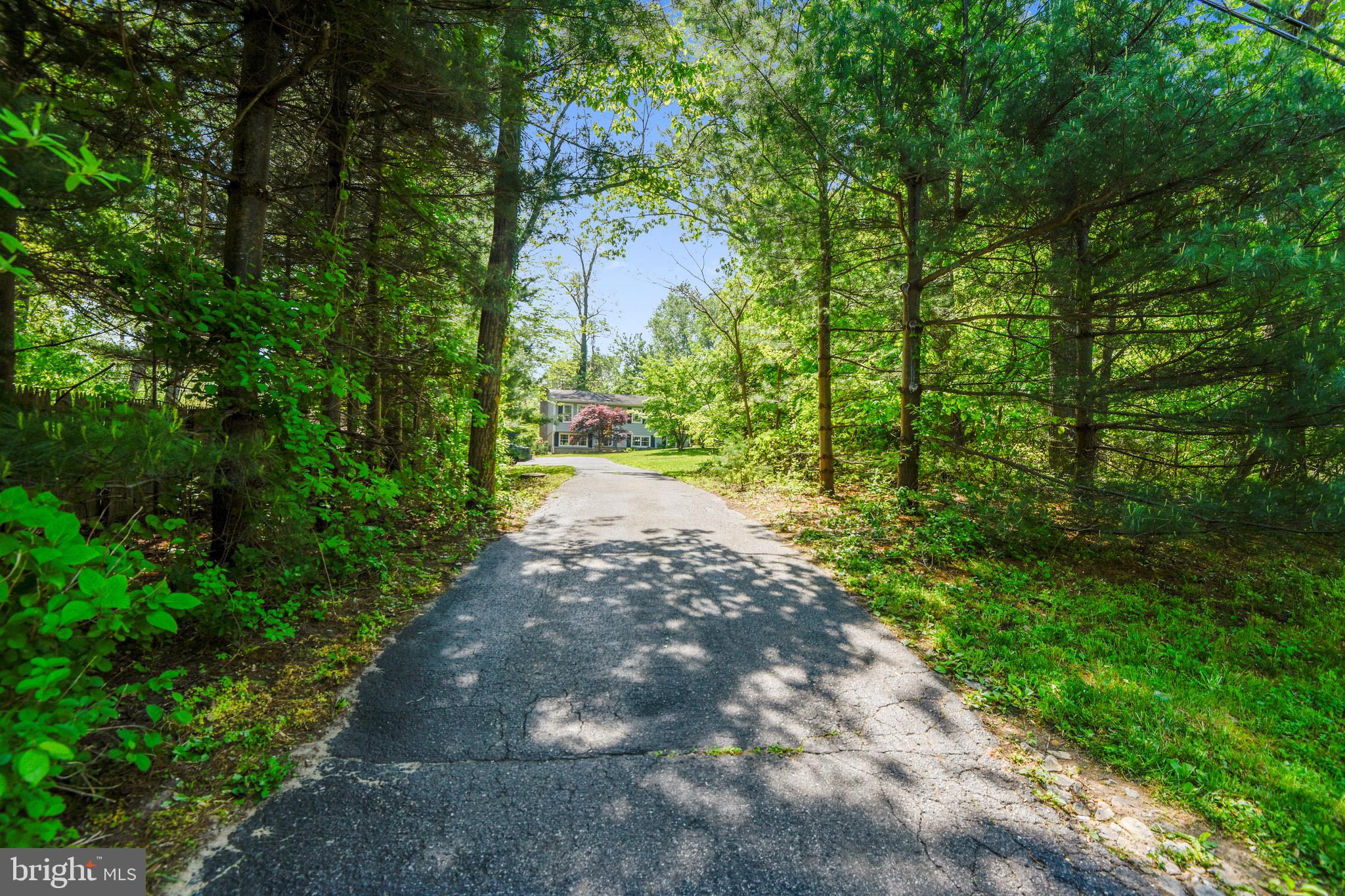 981 Shore Acres Road Arnold, MD 21012 - Photo 35 of 45 Driveway Leading to Your NEW HOME!