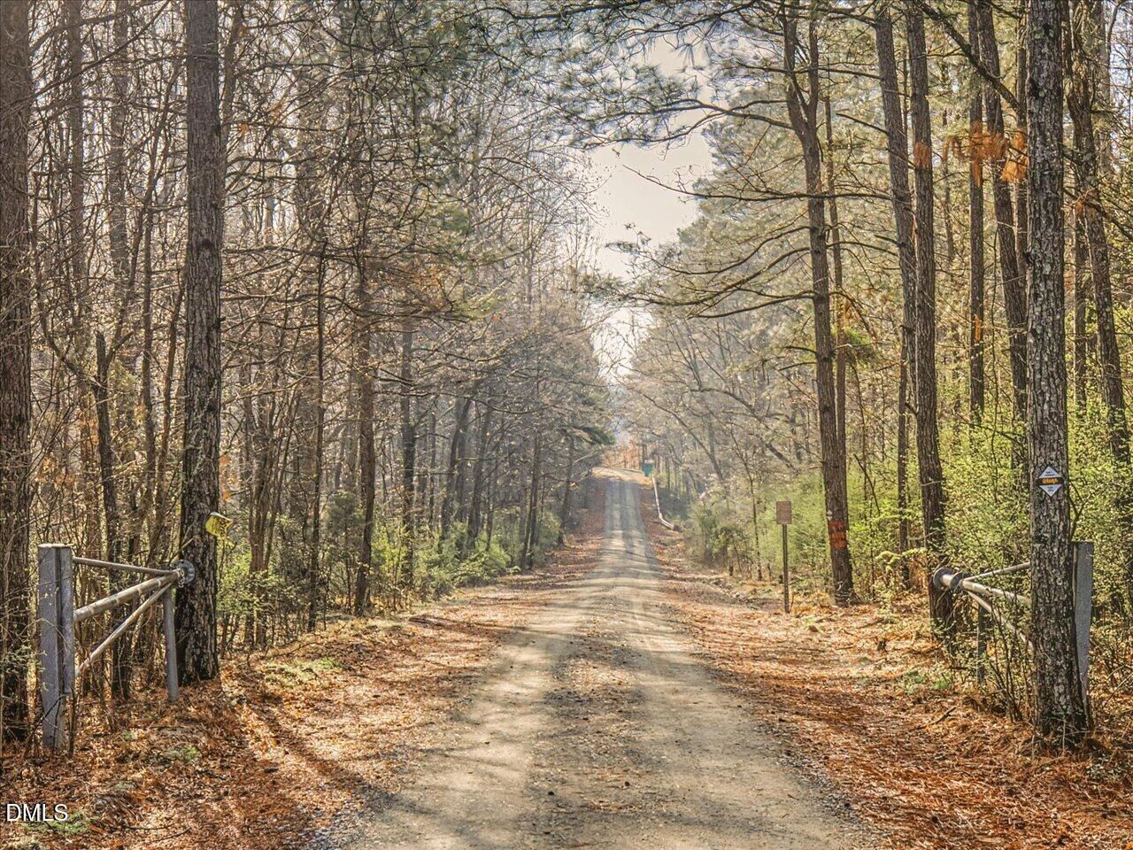 2929 Seaforth Road Pittsboro, NC 27312 - Photo 81 of 81 100-094-2929SeaforthRd-20260316