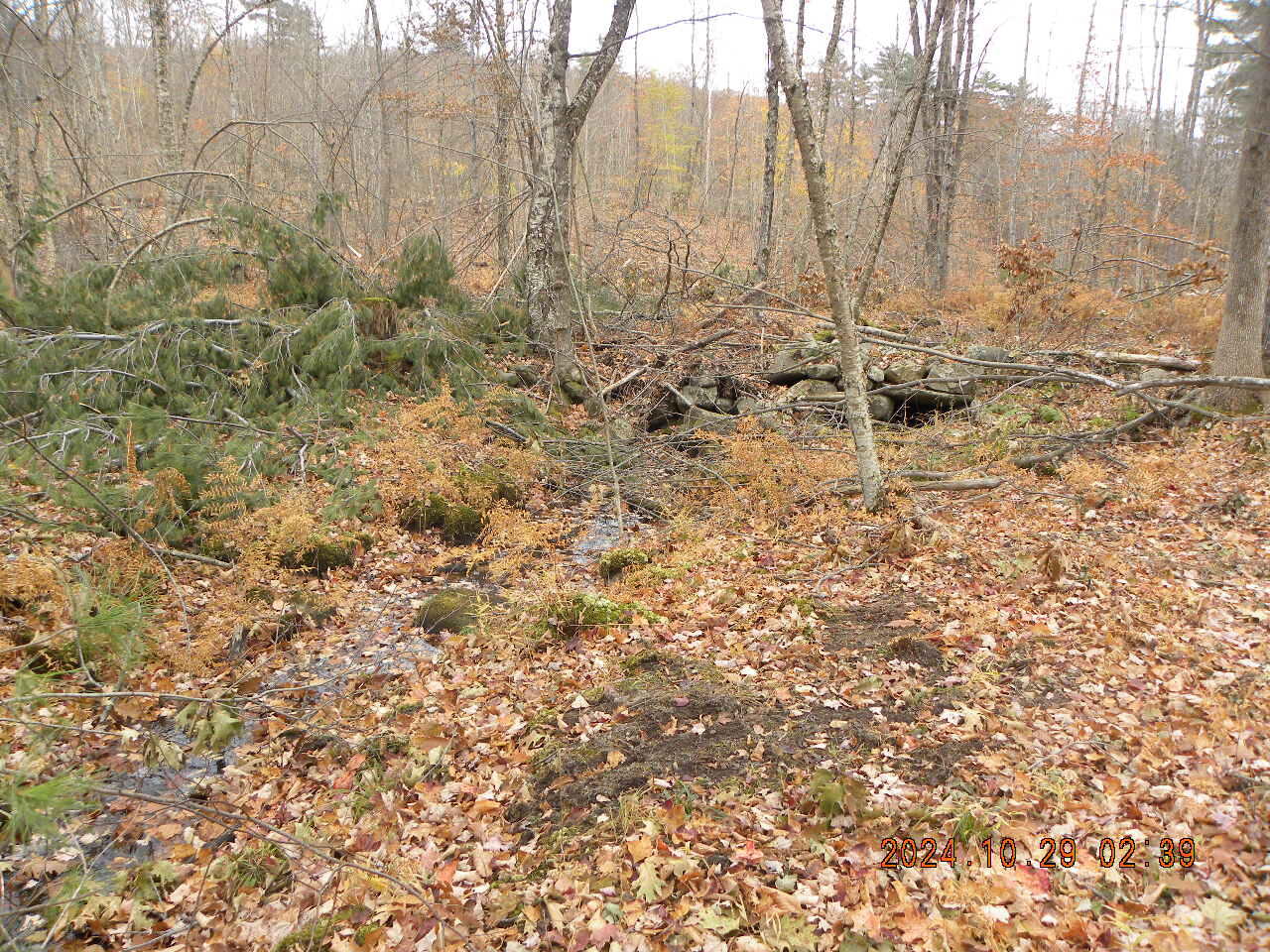 Tbd Gore Road Alfred, ME 04002 - Photo 19 of 33 DSCN9258
