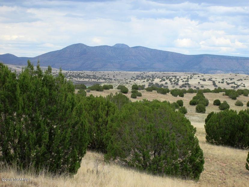 132 Williamson Valley Road Seligman, AZ 86337 - Photo 1 of 9 View east