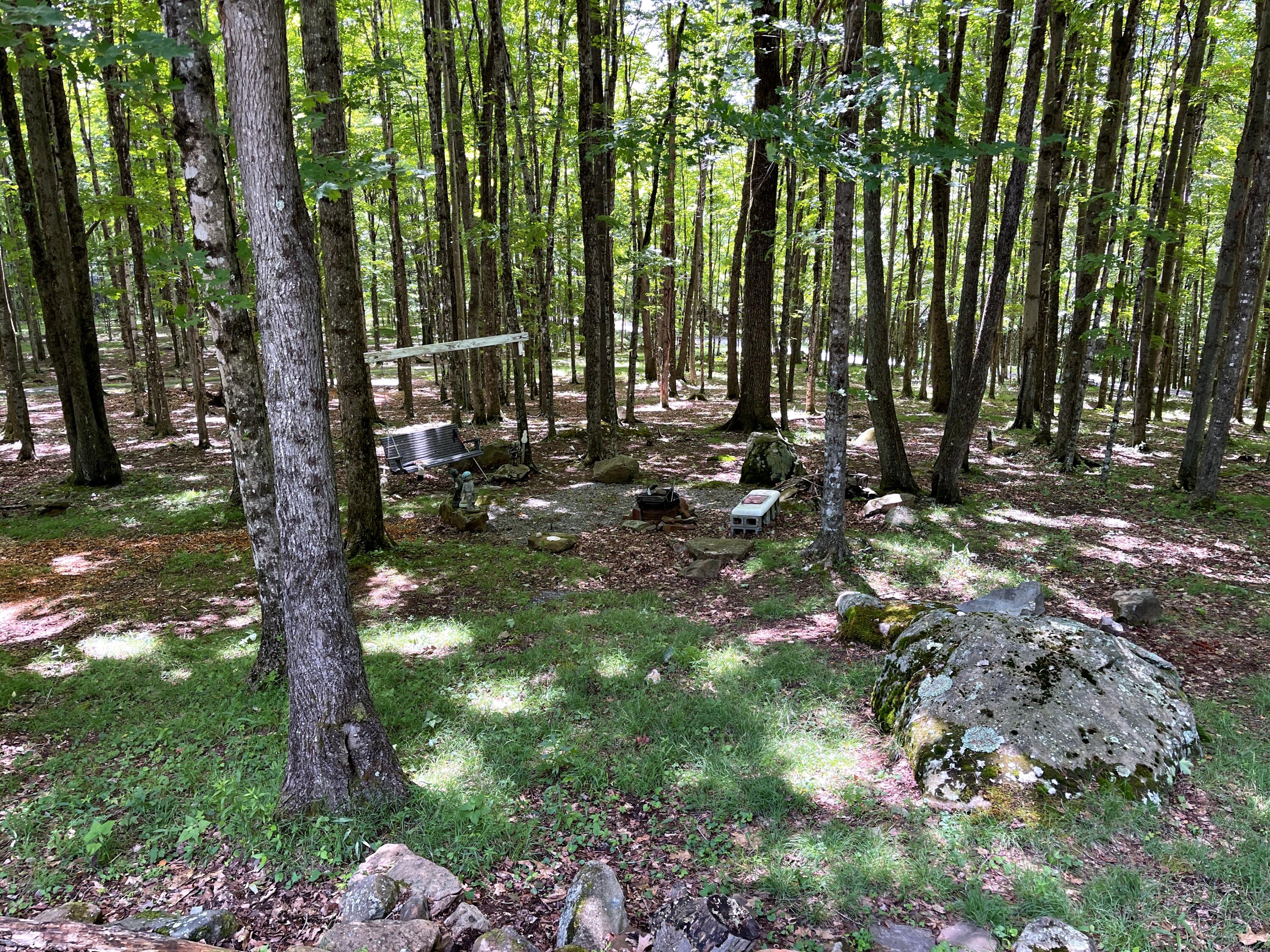 17969 Edray Road Cass, WV 24927 - Photo 38 of 45 Gallery Image 38