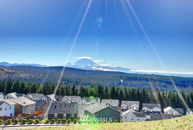 27637 256th Place Southeast Maple Valley, WA 98038 - Photo 40 of 40