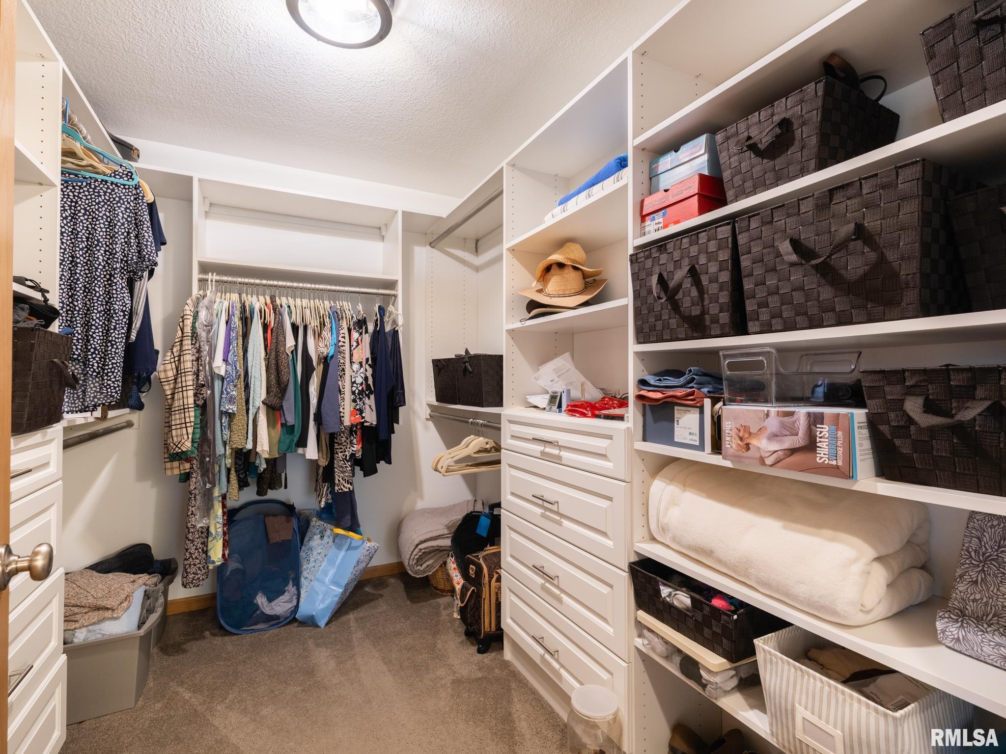 6065 Locust Road Delavan, IL 61734 - Photo 22 of 52