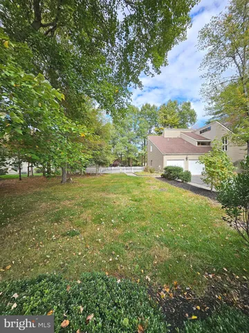a tree in the middle of a yard