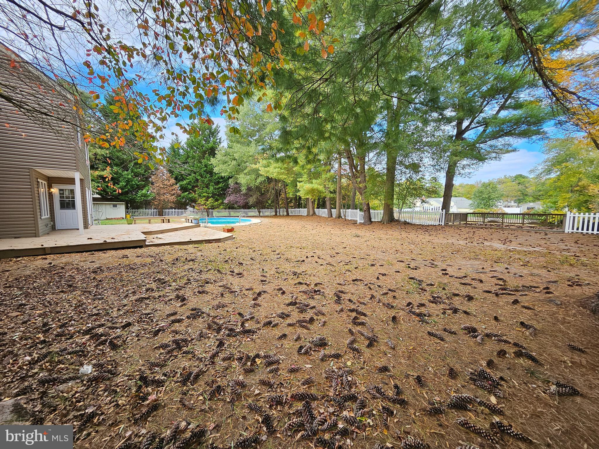120 Bracken Road Medford, NJ 08055 - Photo 26 of 35 Backyard
