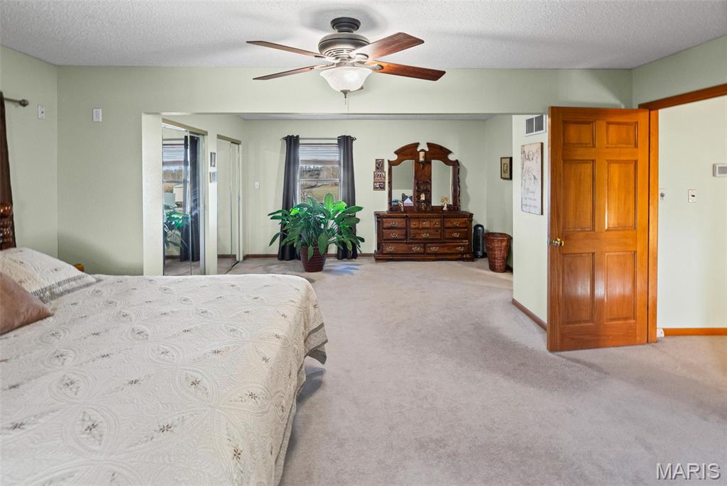 8847 New Athens Darmstadt Road New Athens, IL 62264 - Photo 46 of 63