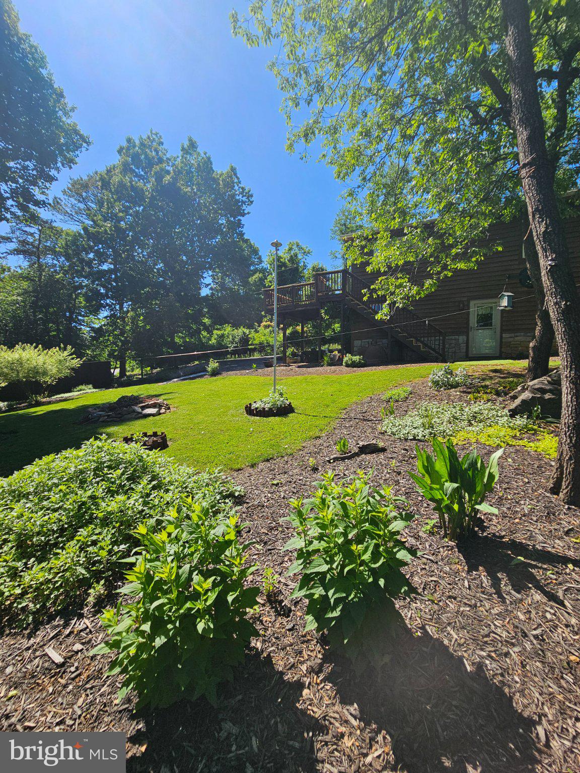 32 Parnassus Road Linden, VA 22642 - Photo 43 of 50 Lush garden under a bright blue sky.