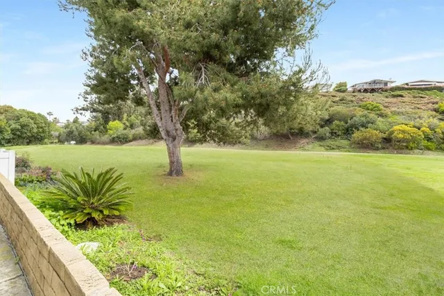 a view of a back yard of the house