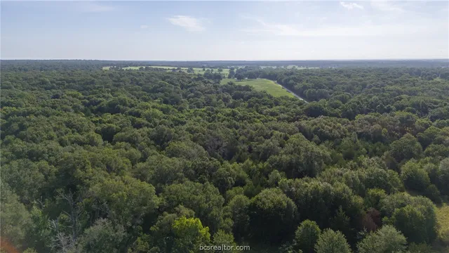 $545,000 | 2025 Caldwell Tx 77836, Caldwell, TX 77836