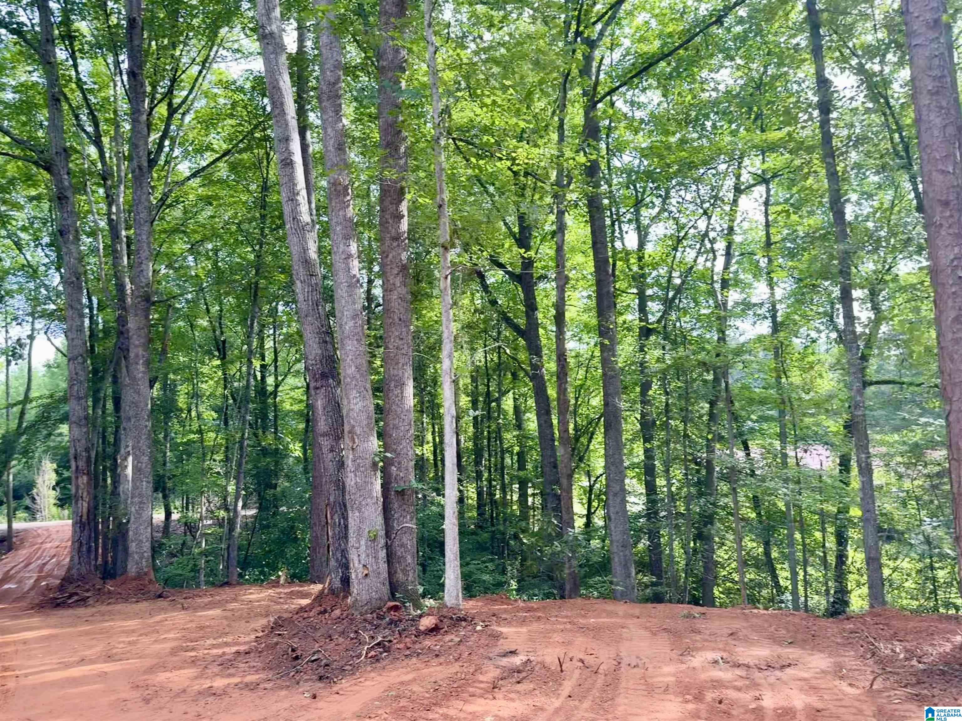 0 Settlement Road Sylacauga, AL 35150 - Photo 13 of 16