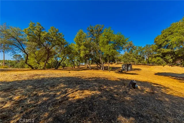 a view of outdoor space with trees