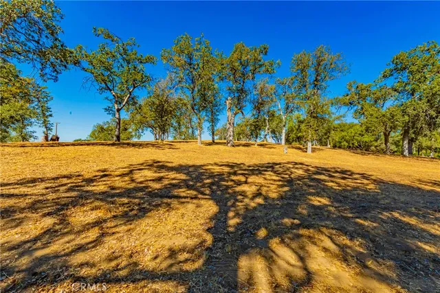 a view of yard with trees