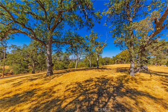 a view of an outdoor space