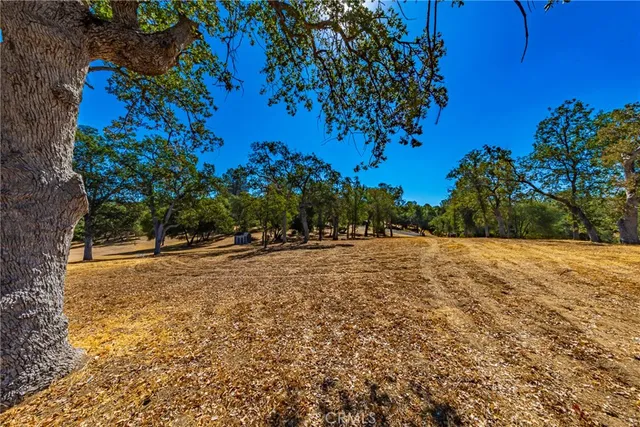 a view of a yard with a tree