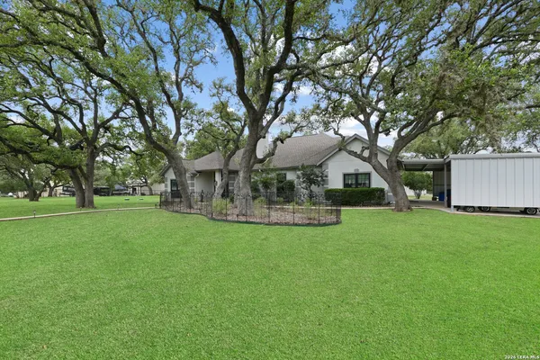 a view of a park with large trees