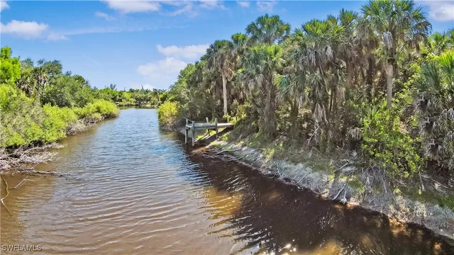 a view of a big yard with lots of bushes