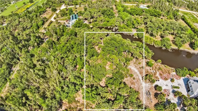 a view of a big yard with lots of bushes