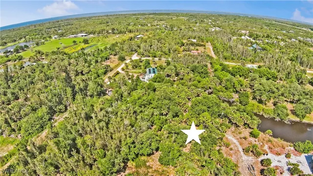 a view of a yard with plants and wooden fence
