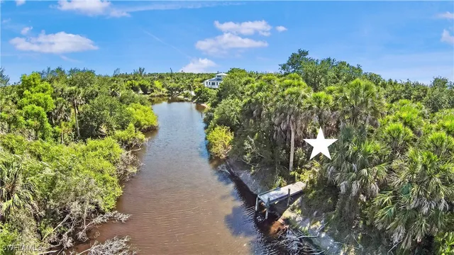 a close up of a plant