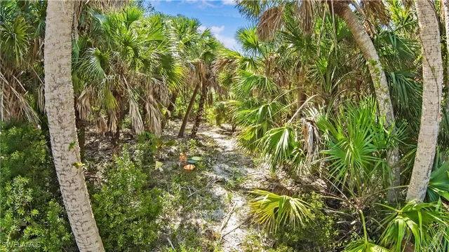 a view of a pathway with a yard