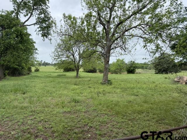 300 Black Oak Road Como, TX 75431 - Photo 30 of 34 a view of a garden with a tree