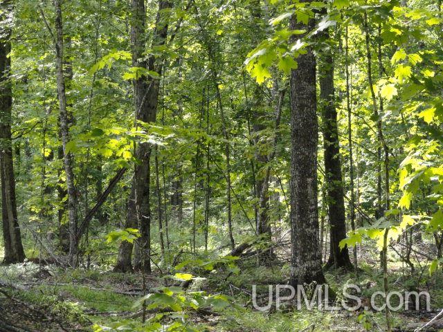 Tbd Norway Lake Road Sidnaw, MI 49961 - Photo 6 of 17