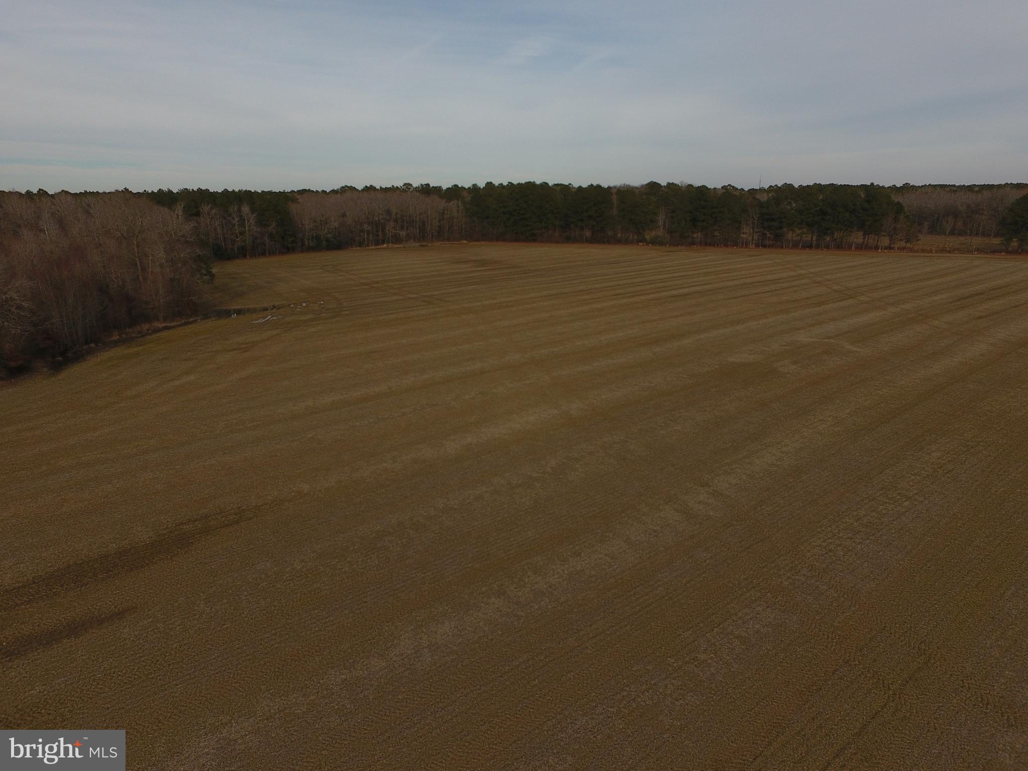 Carey Road Berlin, MD 21811 - Photo 6 of 9 a view of lake