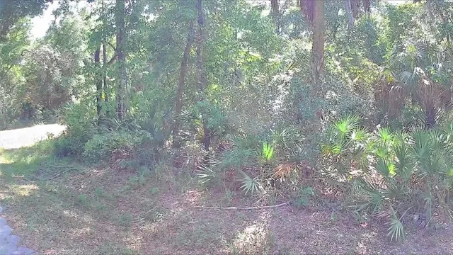 $19,999 | 9543 West Tennessee Lane, Crystal River, FL 34428