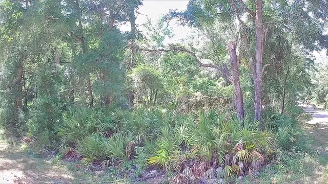 $19,999 | 9543 West Tennessee Lane, Crystal River, FL 34428