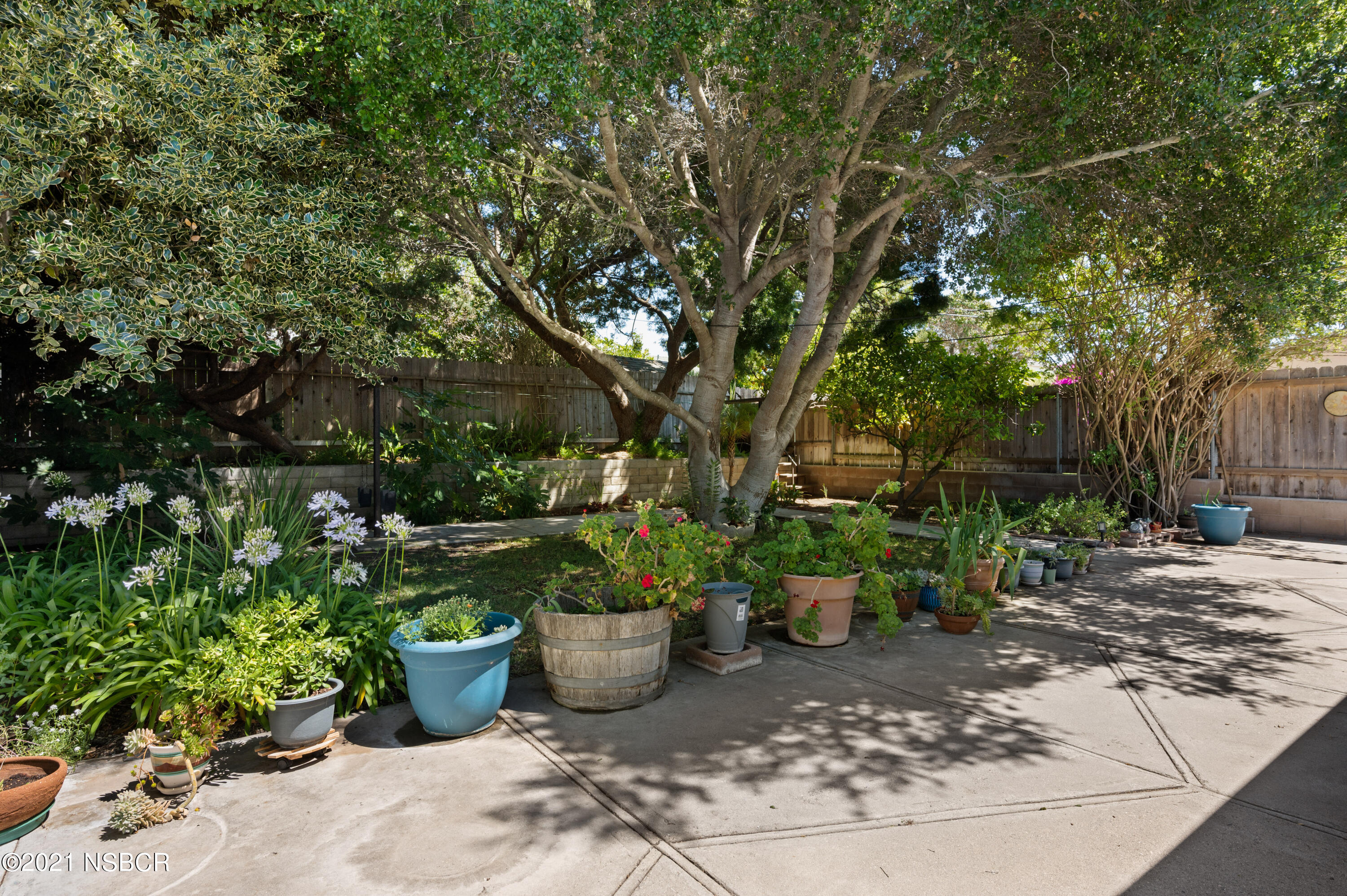 3432 Rucker Road Lompoc, CA 93436 - Photo 8 of 17 a view of a backyard with potted plants and large trees