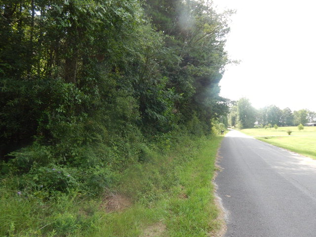 459 Bridges Anthony Road Washington, GA 30673 - Photo 1 of 1 Main View