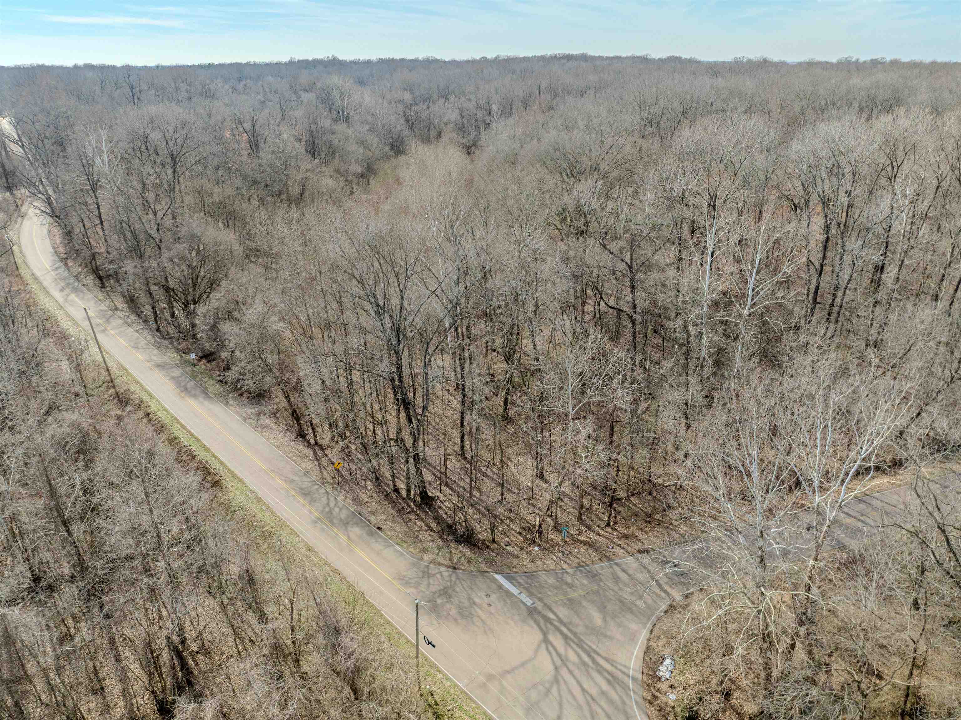 5155 Benjestown Road Memphis, TN 38127 - Photo 25 of 36 a view of a dry yard with trees