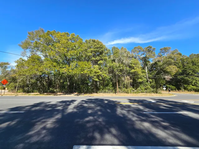 a view of a big yard with large trees
