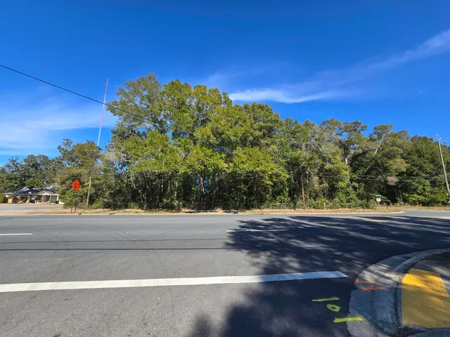 a view of a back yard