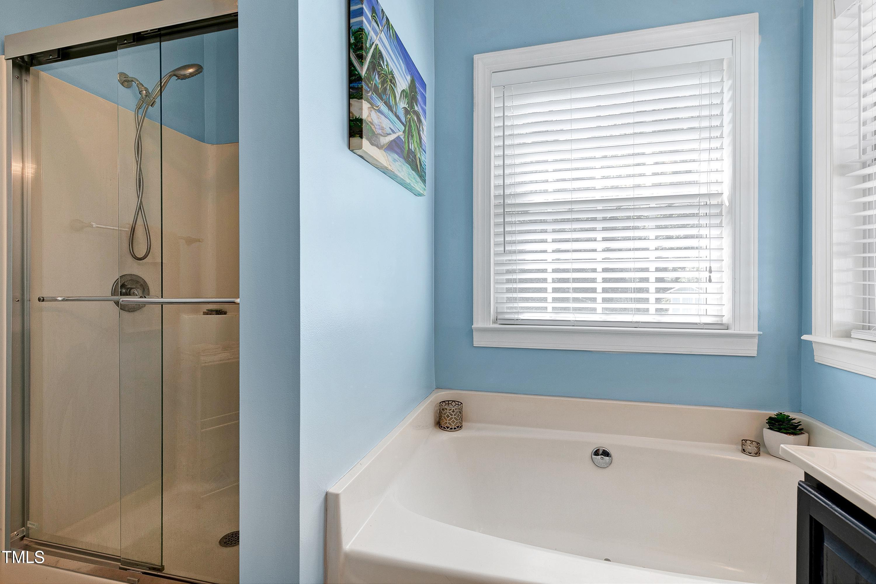 4793 Overhills Road Spring Lake, NC 28390 - Photo 17 of 29 pRIMARY bATH sEPT tUB & SHOWER