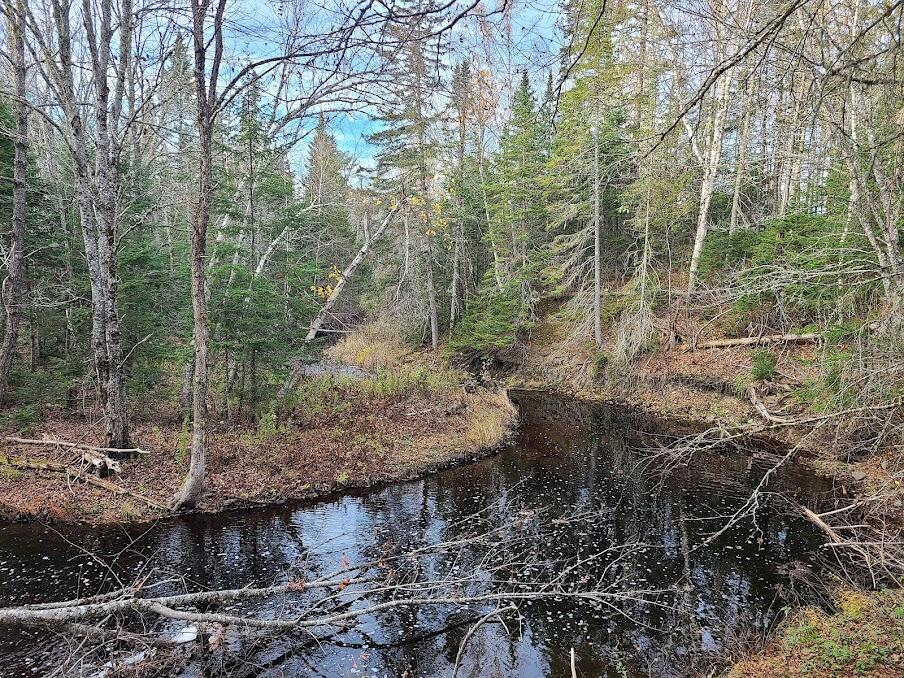 Lot 6 Estabrook Road Amity, ME 04471 - Photo 5 of 23 20211026_160149