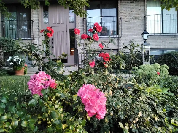 $265,000 | 1706 Northfield Square, Unit D, Northfield, IL 60093