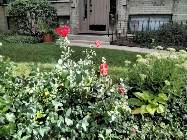 $265,000 | 1706 Northfield Square, Unit D, Northfield, IL 60093